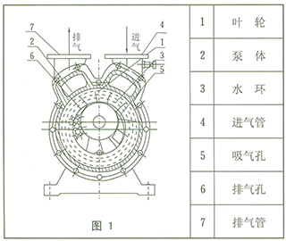 SZ系列水環(huán)式真空泵 結(jié)構(gòu)圖1